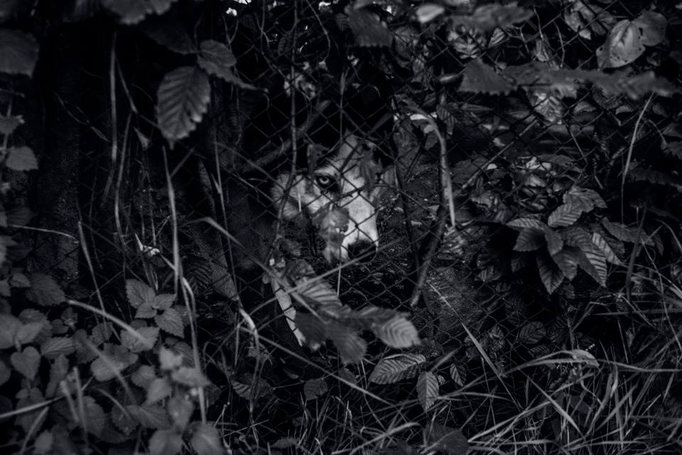 471307642 10163534305095649 6398612102985155574 n