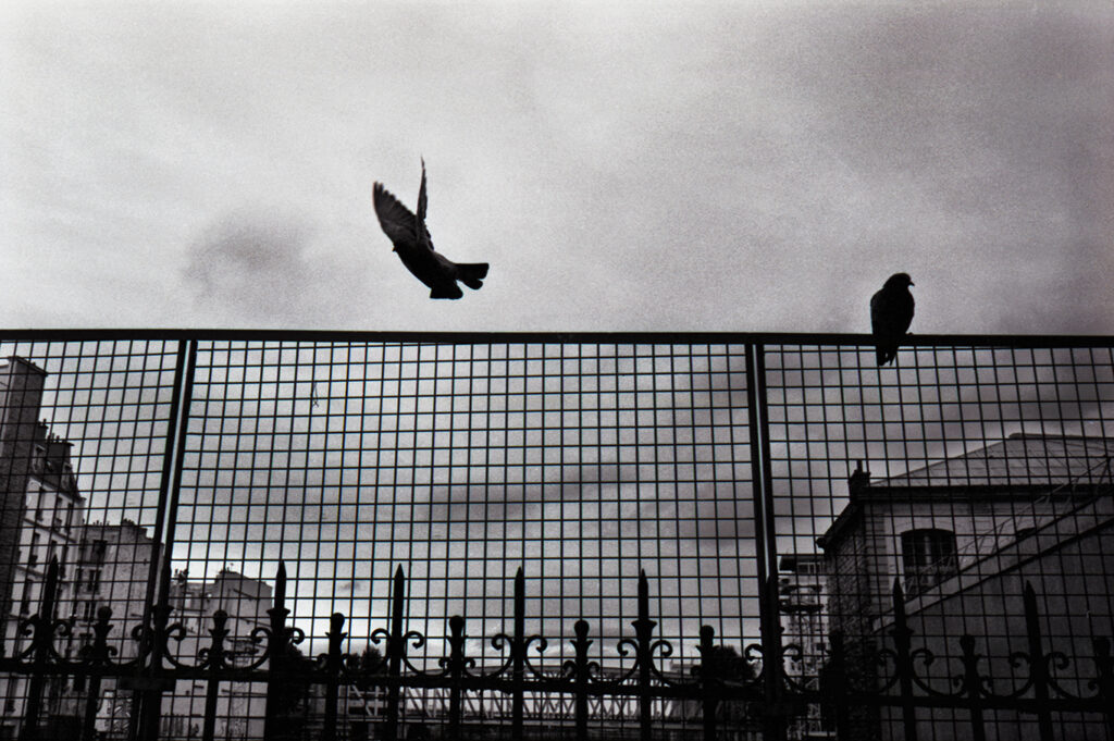 2007 paris copie 2