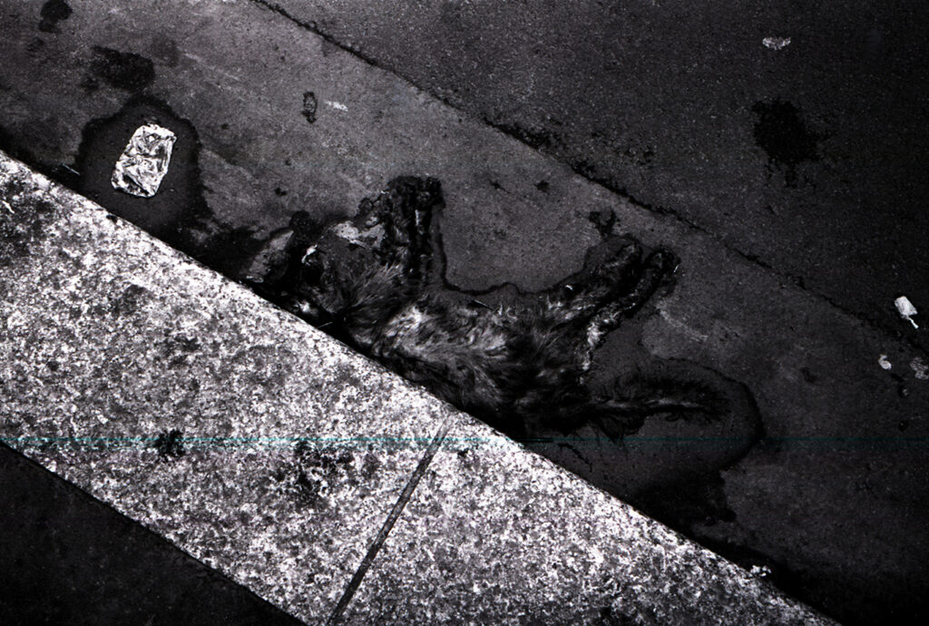 2007 paris.2 copie 2