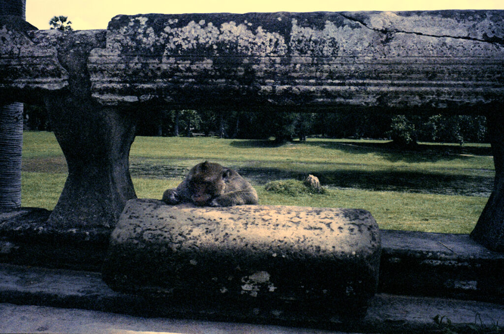 2015 cambodia copie 2
