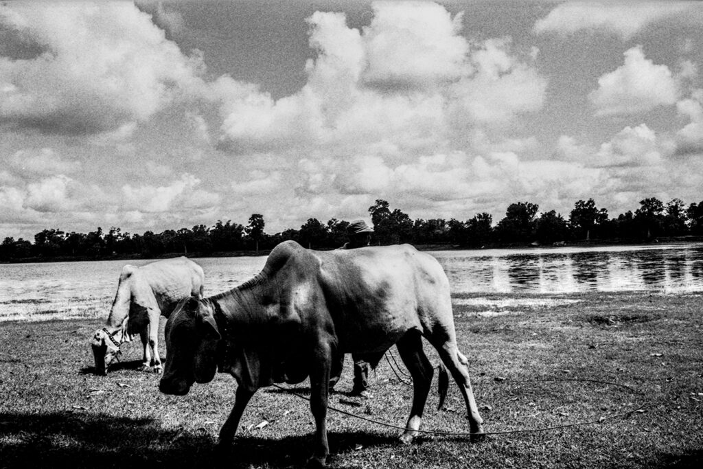 cambodia036 copie